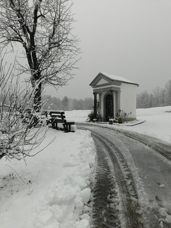 R&B La Gerla Blu Bed & Breakfast Tolmezzo Exterior photo