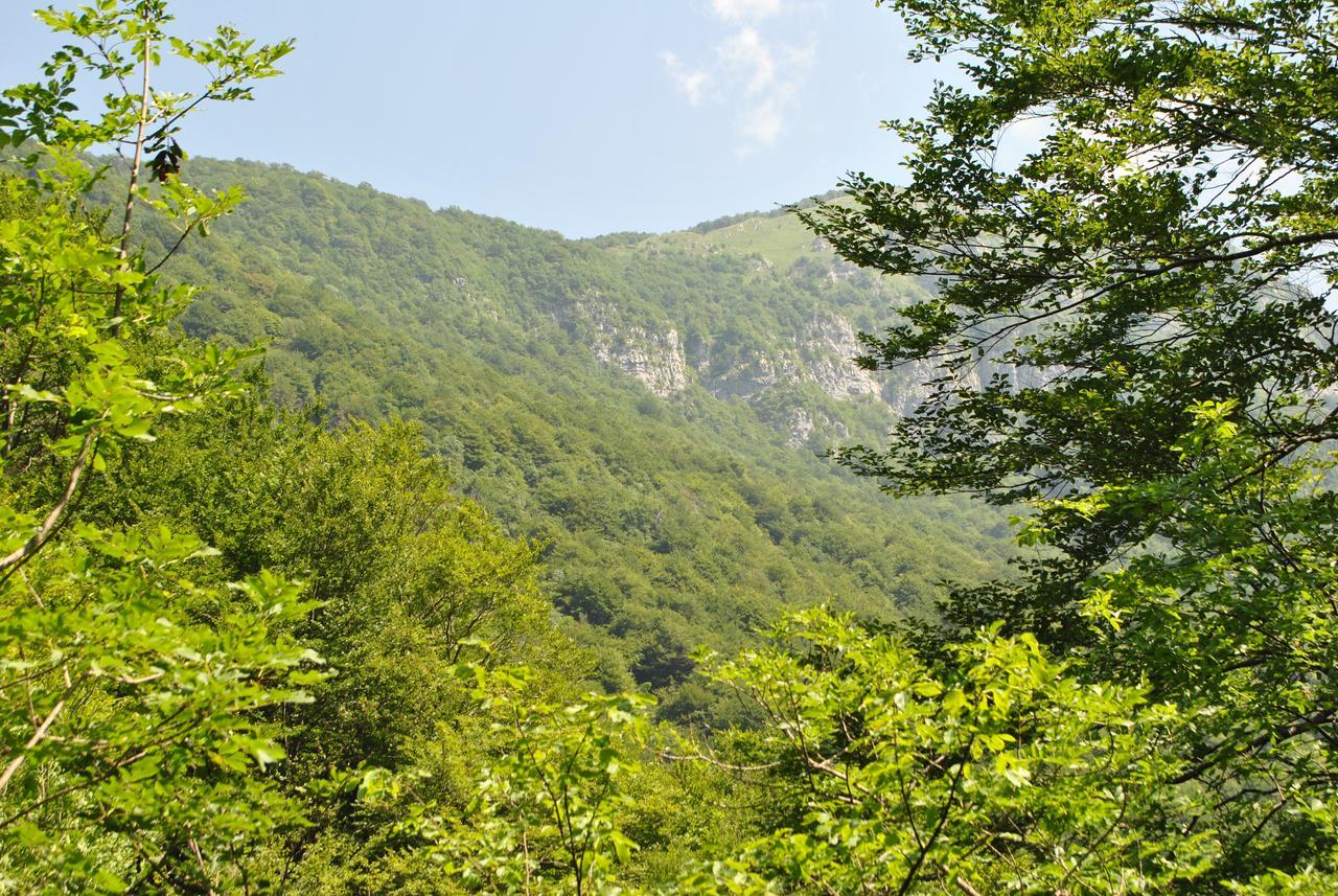 R&B La Gerla Blu Bed & Breakfast Tolmezzo Exterior photo